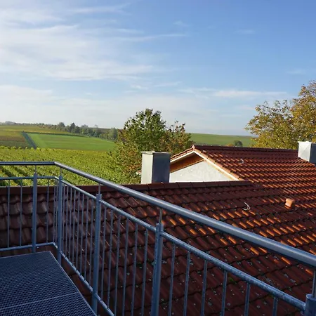 Weingut Schaaf Apartment Lauffen am Neckar Exterior photo