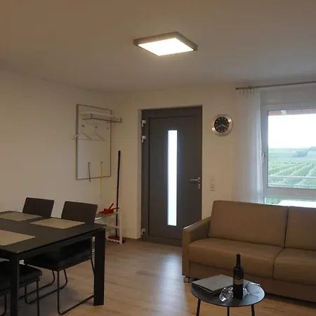 Weingut Schaaf Apartment Lauffen am Neckar Exterior photo